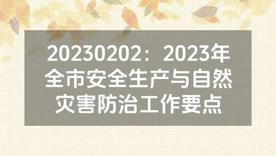 20230202：2023年全市安全生产与自然灾害防治工作要点