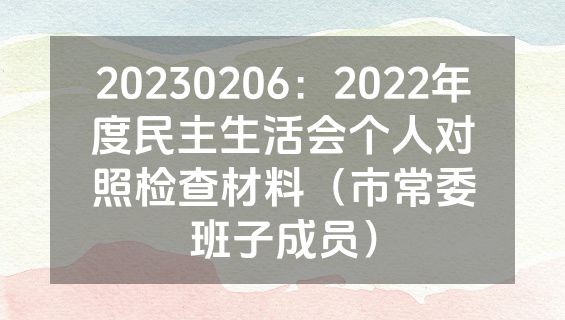 20230206：2022年度民主生活会个人对照检查材料（市常委班子成员）