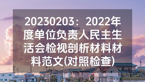 20230203：2022年度单位负责人民主生活会检视剖析材料材料范文(对照检查)