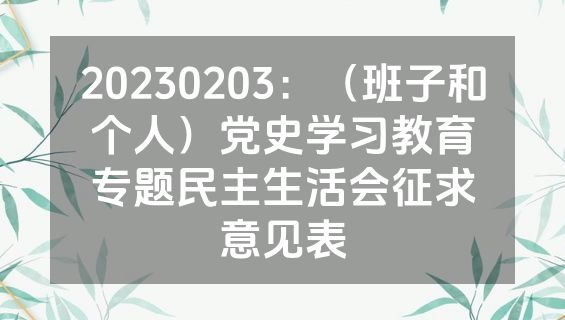 20230203：（班子和个人）党史学习教育专题民主生活会征求意见表