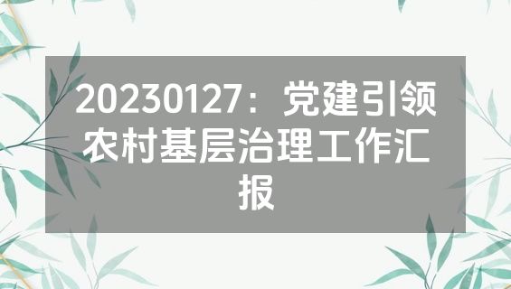 20230127：党建引领农村基层治理工作汇报