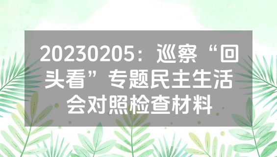 20230205：巡察“回头看”专题民主生活会对照检查材料