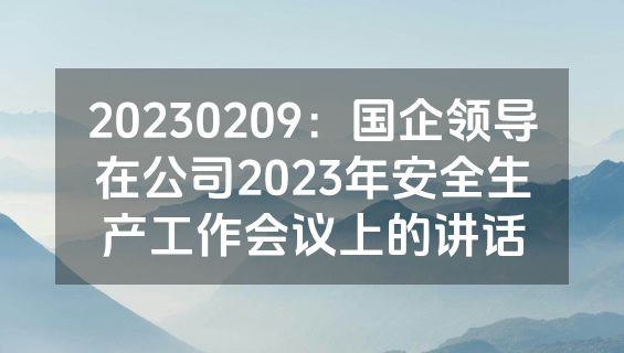 20230209：国企领导在公司2023年安全生产工作会议上的讲话