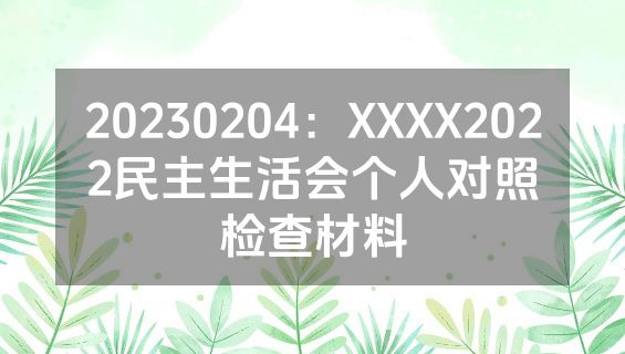 20230204：XXXX2022民主生活会个人对照检查材料