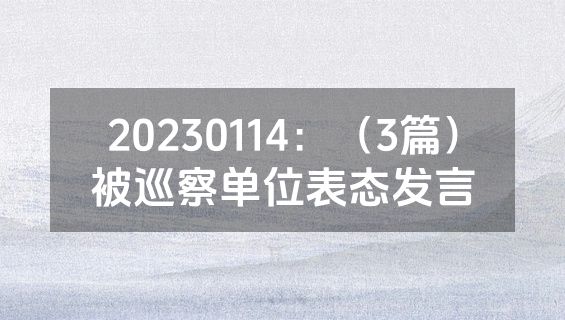 20230114：（3篇）被巡察单位表态发言