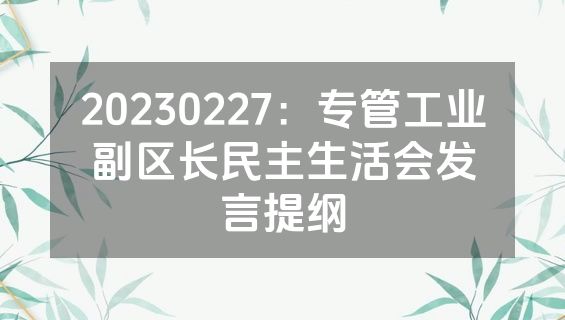20230227：专管工业副区长民主生活会发言提纲