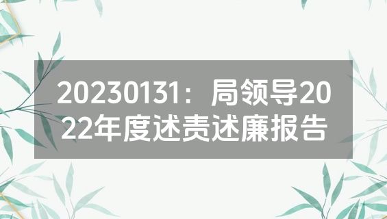 20230131：局领导2022年度述责述廉报告