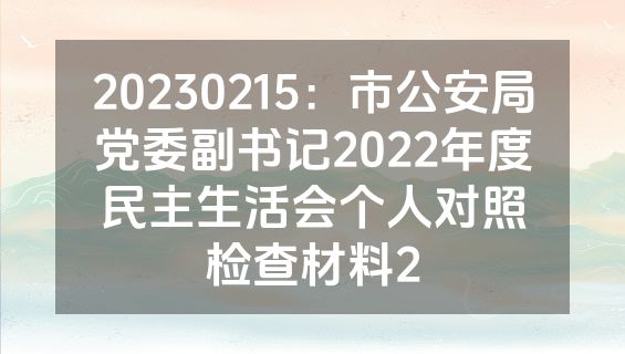 20230215：市公安局党委副书记2022年度民主生活会个人对照检查材料2