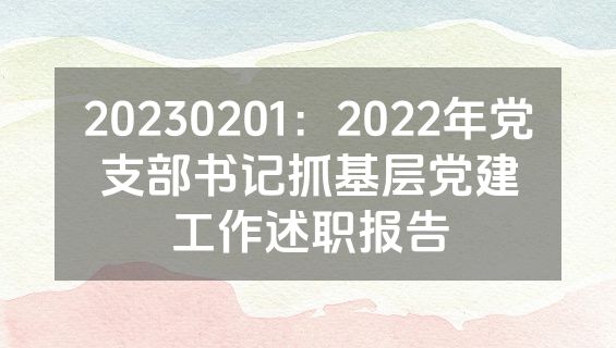 20230201：2022年党支部书记抓基层党建工作述职报告