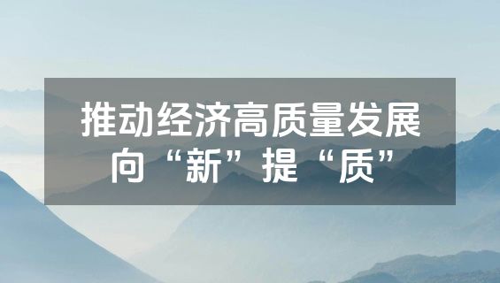 推动经济高质量发展向“新”提“质”
