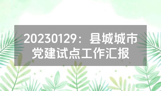 20230129：县城城市党建试点工作汇报
