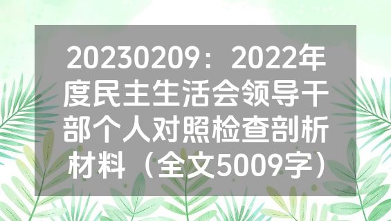 20230209：2022年度民主生活会领导干部个人对照检查剖析材料（全文5009字）