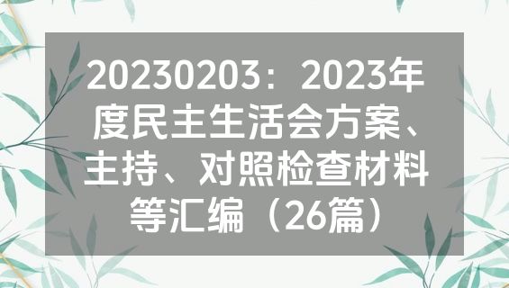 20230203：2023年度民主生活会方案、主持、对照检查材料等汇编（26篇）