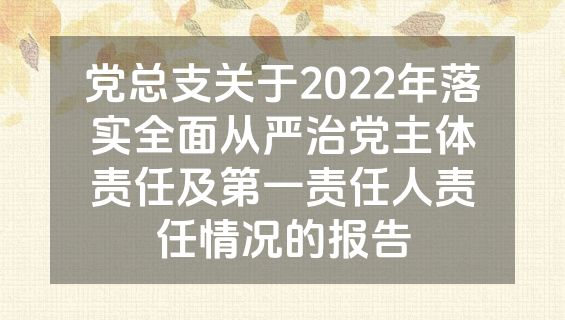 党总支关于2022年落实全面从严治党主体责任及第一责任人责任情况的报告