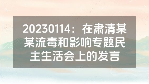20230114：在肃清某某流毒和影响专题民主生活会上的发言