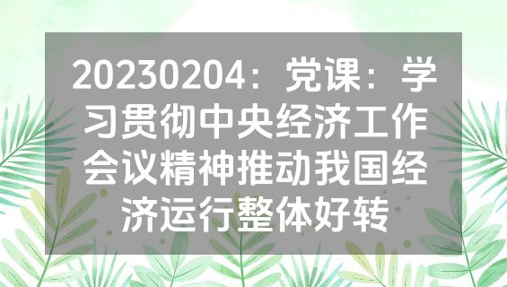 20230204：党课：学习贯彻中央经济工作会议精神推动我国经济运行整体好转