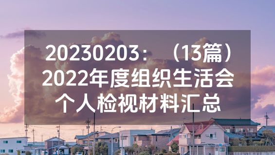 20230203：（13篇）2022年度组织生活会个人检视材料汇总