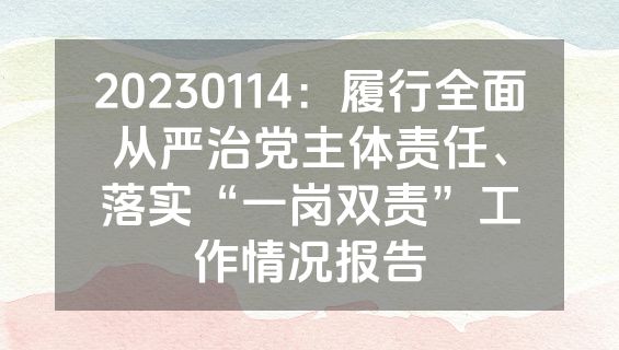 20230114：履行全面从严治党主体责任、落实“一岗双责”工作情况报告