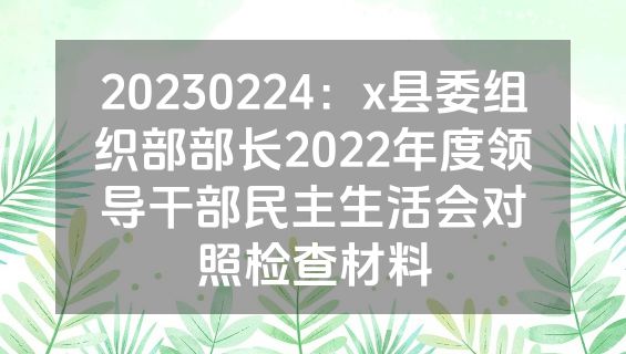20230224：x县委组织部部长2022年度领导干部民主生活会对照检查材料