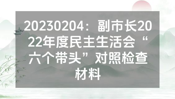 20230204：副市长2022年度民主生活会“六个带头”对照检查材料