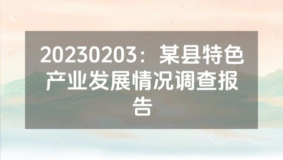 20230203：某县特色产业发展情况调查报告