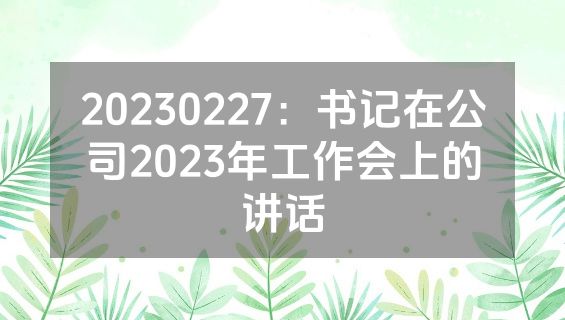 20230227：书记在公司2023年工作会上的讲话