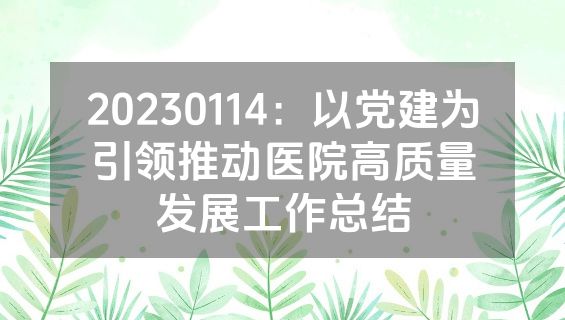20230114：以党建为引领推动医院高质量发展工作总结