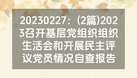 20230227：(2篇)2023召开基层党组织组织生活会和开展民主评议党员情况自查报告