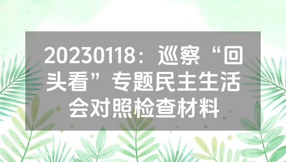 20230118：巡察“回头看”专题民主生活会对照检查材料