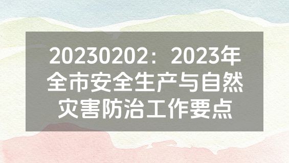 20230202：2023年全市安全生产与自然灾害防治工作要点