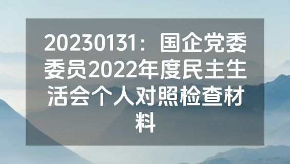 20230131：国企党委委员2022年度民主生活会个人对照检查材料