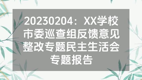 20230204：XX学校市委巡查组反馈意见整改专题民主生活会专题报告