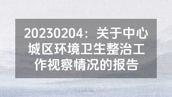 20230204：关于中心城区环境卫生整治工作视察情况的报告