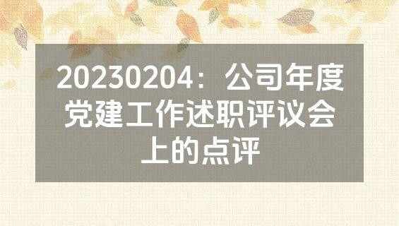 20230204：公司年度党建工作述职评议会上的点评