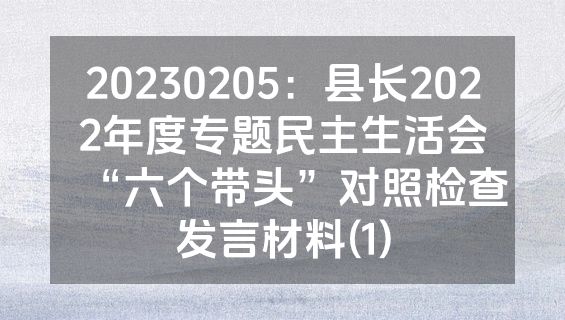 20230205：县长2022年度专题民主生活会“六个带头”对照检查发言材料(1)
