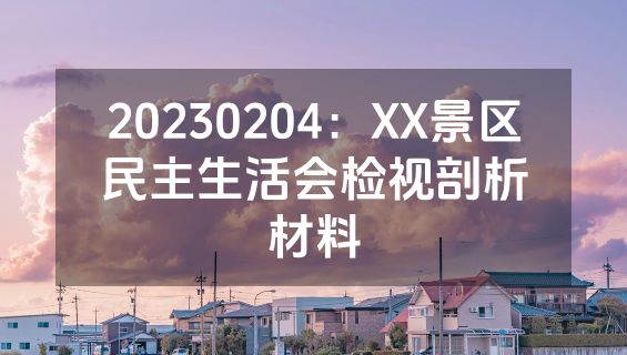 20230204：XX景区民主生活会检视剖析材料