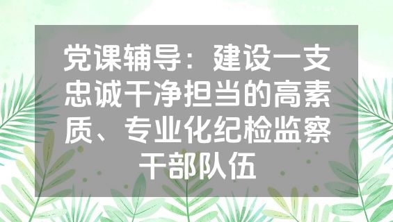 党课辅导：建设一支忠诚干净担当的高素质、专业化纪检监察干部队伍