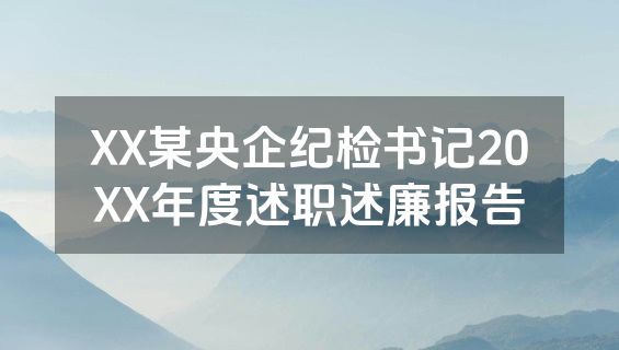 XX某央企纪检书记20XX年度述职述廉报告