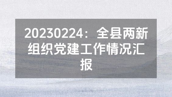 20230224：全县两新组织党建工作情况汇报