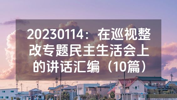 20230114：在巡视整改专题民主生活会上的讲话汇编（10篇）