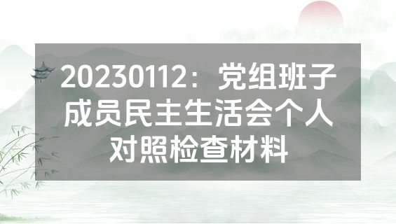 20230112：党组班子成员民主生活会个人对照检查材料