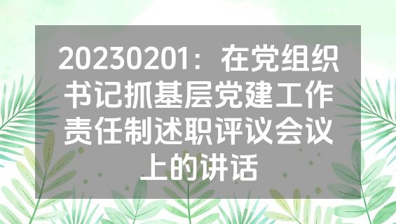 20230201：在党组织书记抓基层党建工作责任制述职评议会议上的讲话