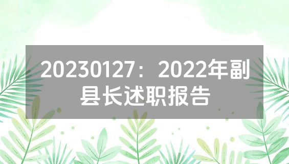 20230127：2022年副县长述职报告