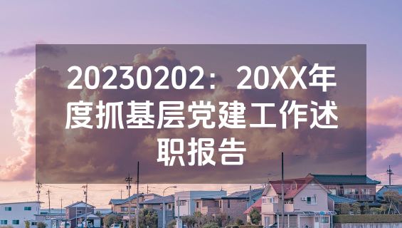 20230202：20XX年度抓基层党建工作述职报告