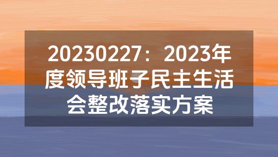 20230227：2023年度领导班子民主生活会整改落实方案