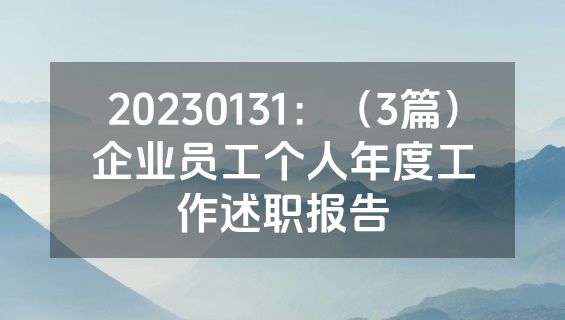 20230131：（3篇）企业员工个人年度工作述职报告