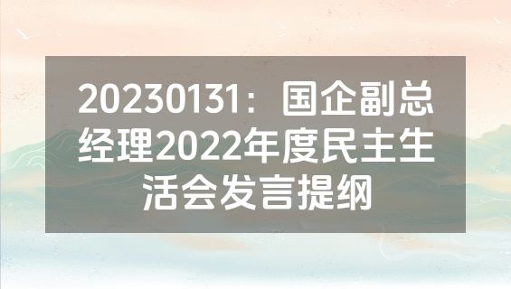 20230131：国企副总经理2022年度民主生活会发言提纲