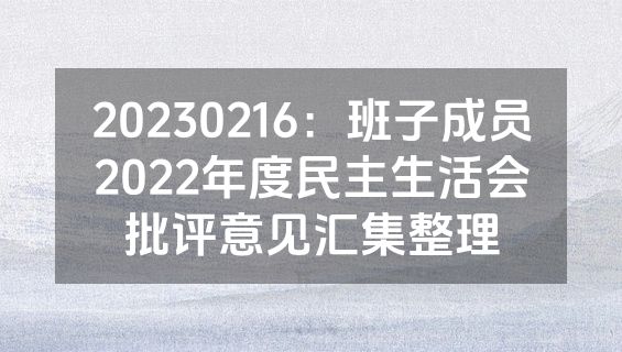 20230216：班子成员2022年度民主生活会批评意见汇集整理