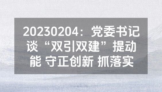 20230204：党委书记谈“双引双建”提动能 守正创新 抓落实