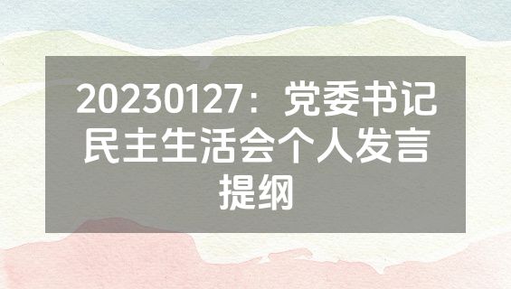 20230127：党委书记民主生活会个人发言提纲